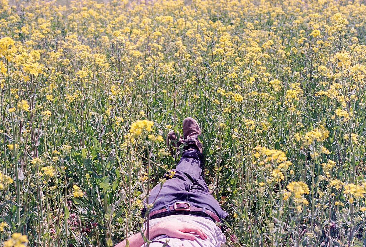 Young man lying down in a field of yellow flowers in spring