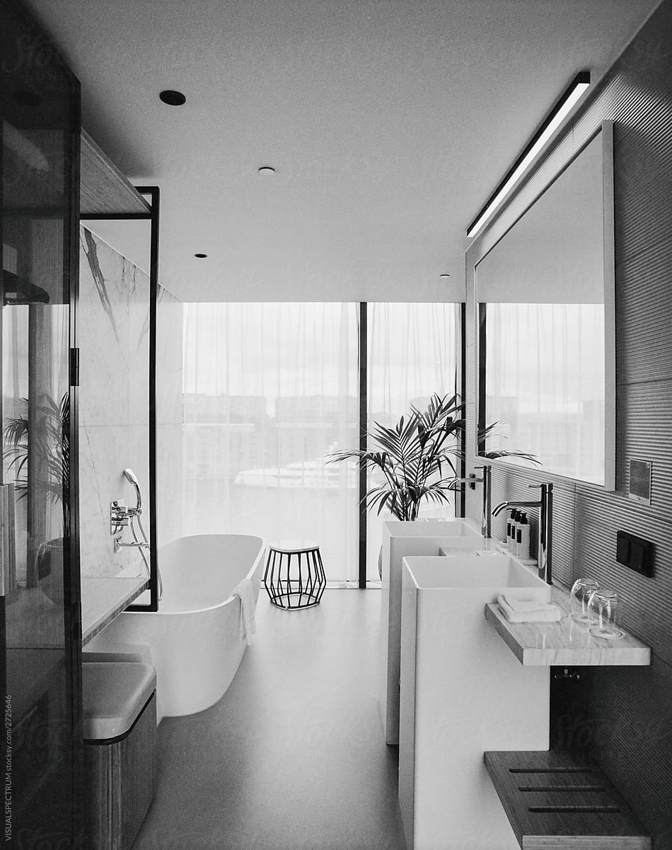 Elegant Luxurious Bathroom