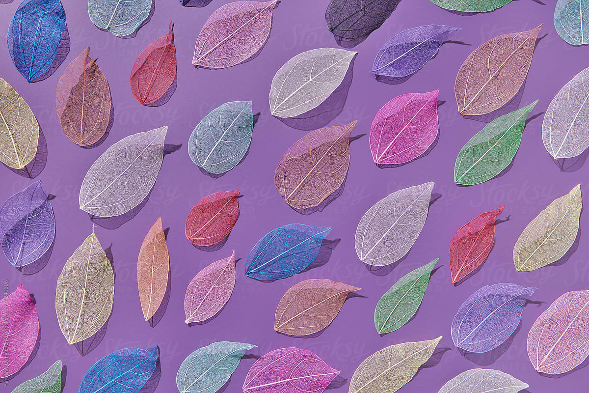 Transparent colorful leaves on violet background