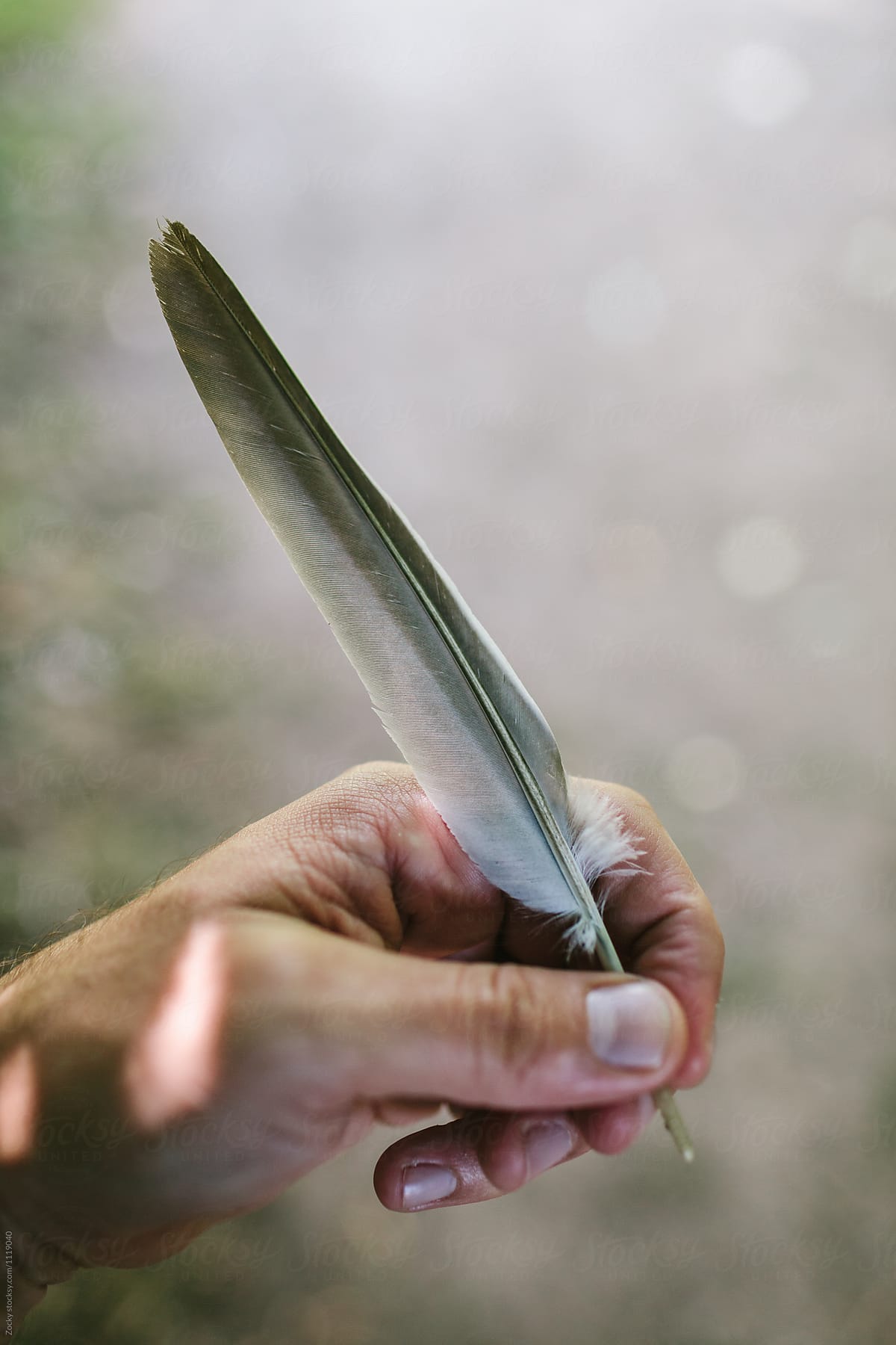Mans hand holding birds feather