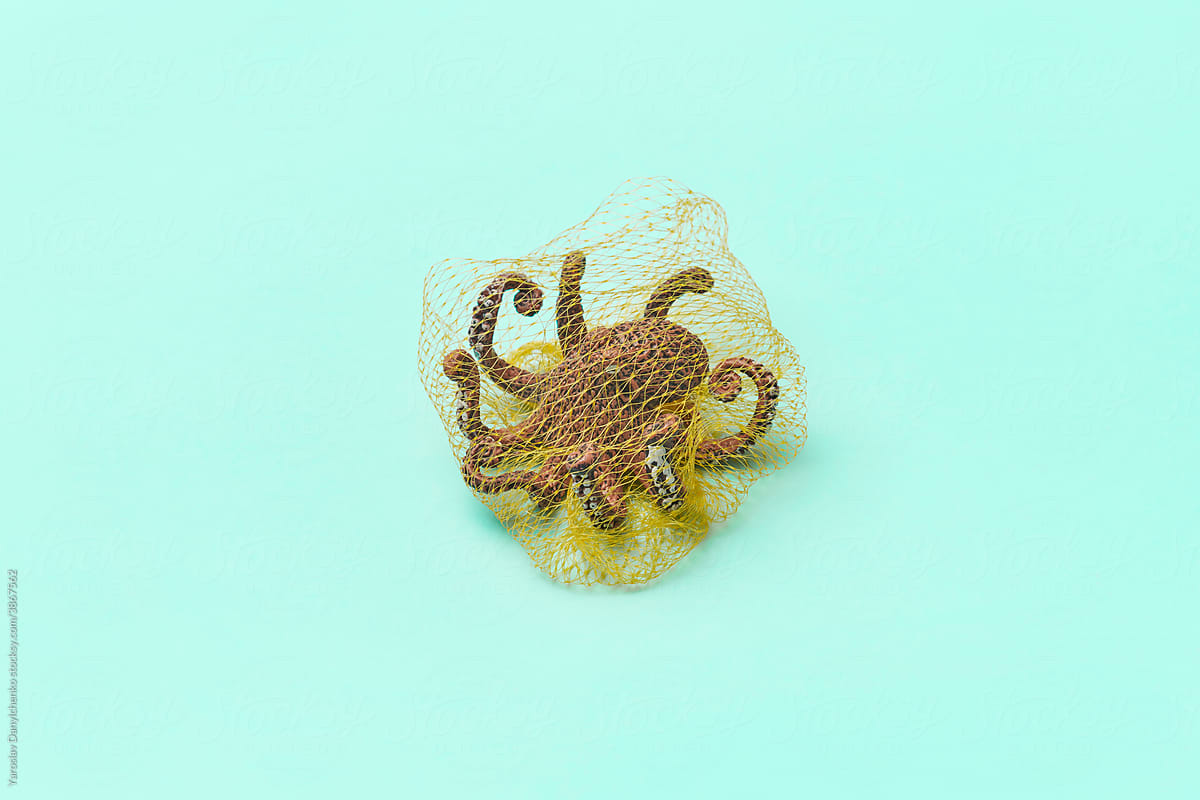 Toy octopus trapped in plastic net