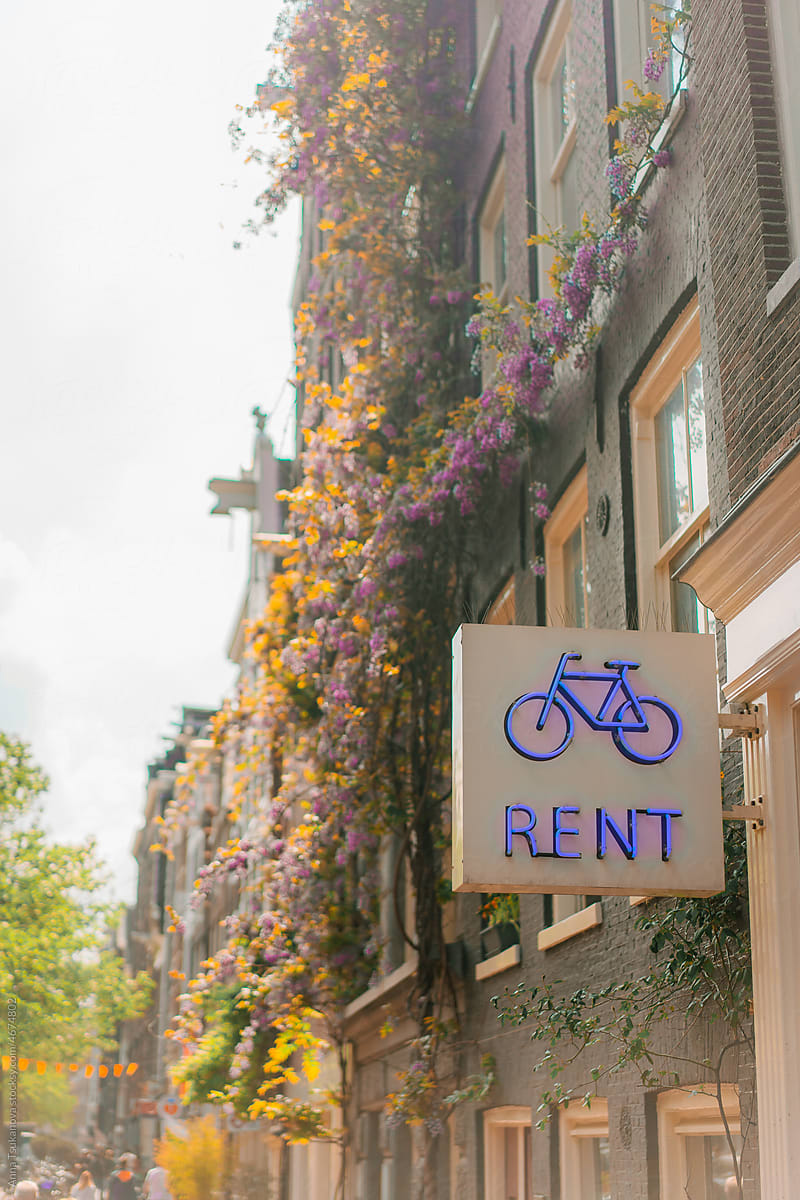 Bicycle rent on the street with building covered with blooming bush