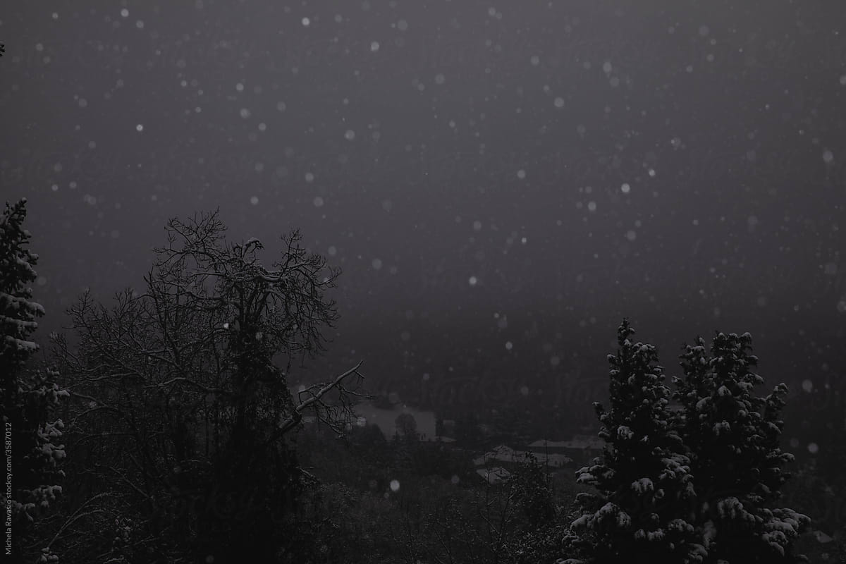 Winter evening landscape while snowing