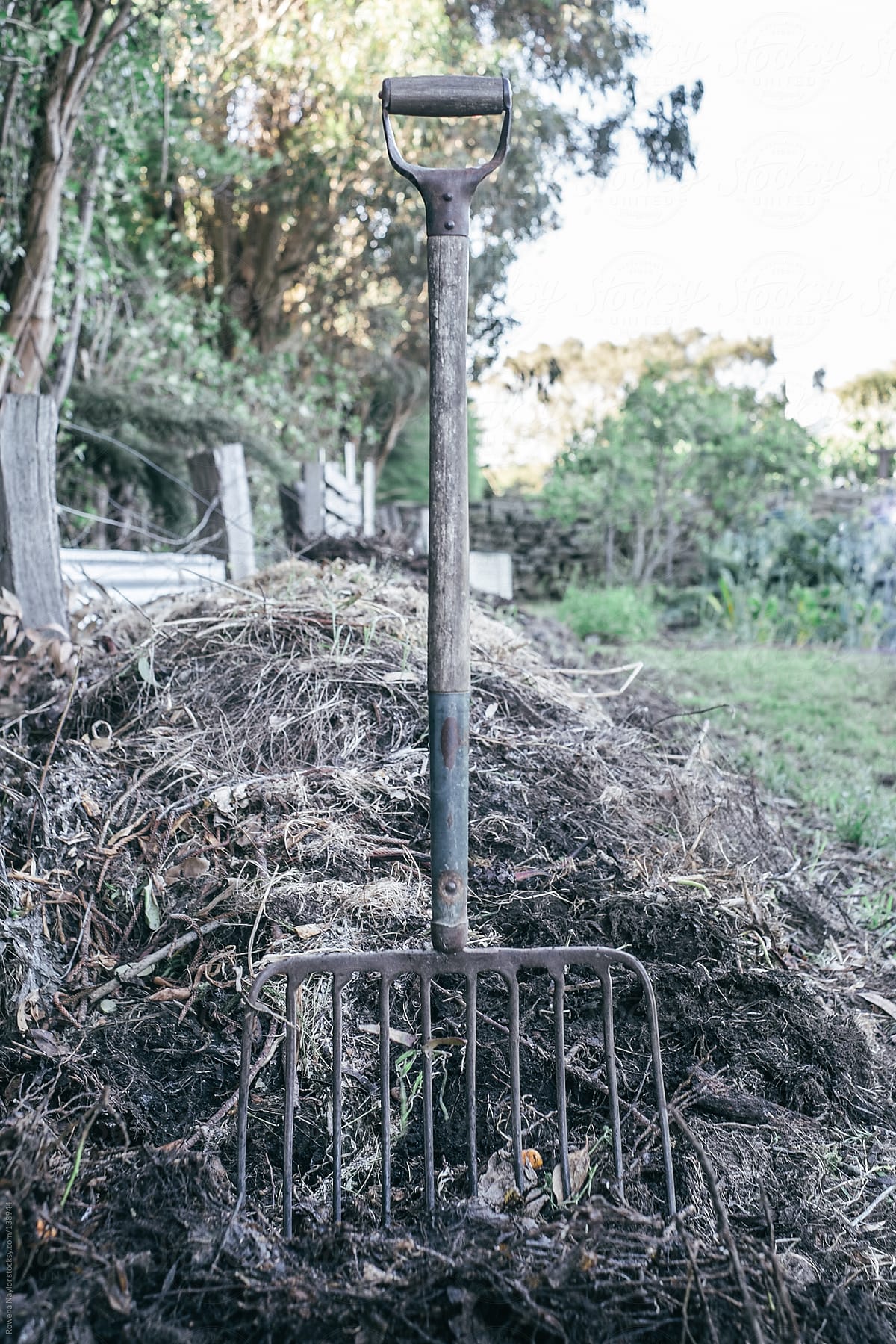 Old Pitchfork in Garden Compost Heap