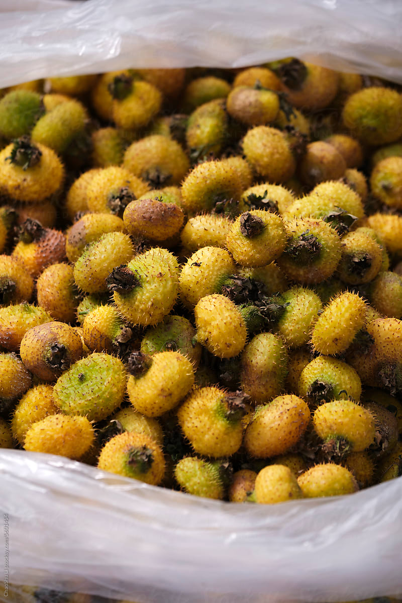 Closeup of freshly picked prickly pears