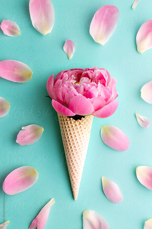 Peony rose in a wafer ice cream cone