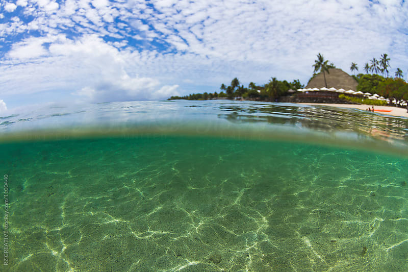 Underwater in Tahiti.