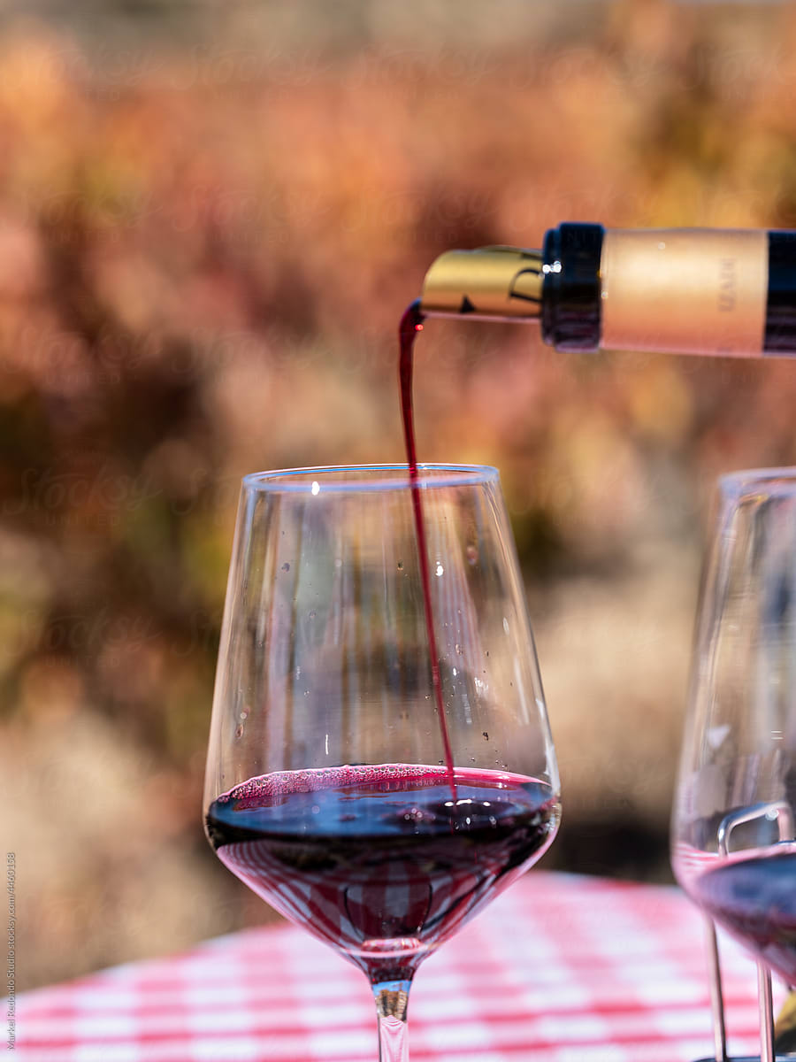 Rioja red wine glass
