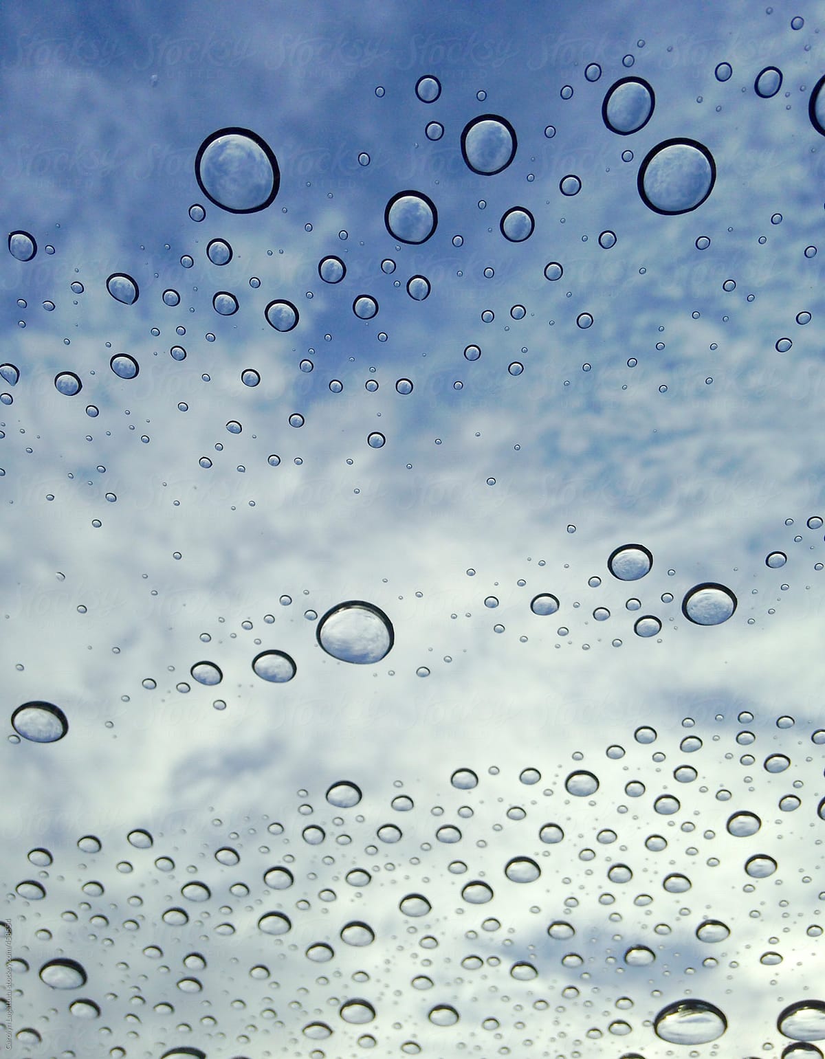 Rain stopped and sun is starting to come out - droplets against a blue sky
