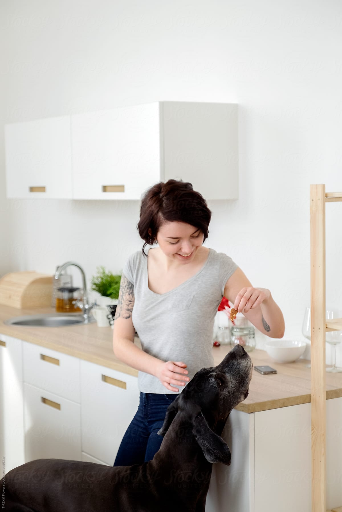 Young woman feeding her dog at kitchen