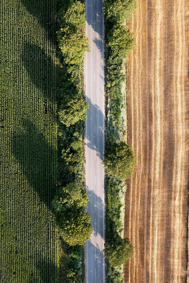 Abstract aerial shot of road and agriculture fields