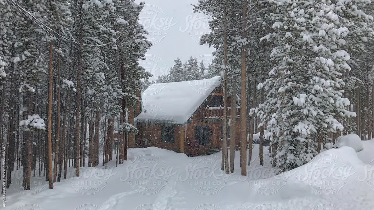 Cabin Surrounded By Pine Trees In Snow By Stocksy Contributor Angela Lumsden Stocksy