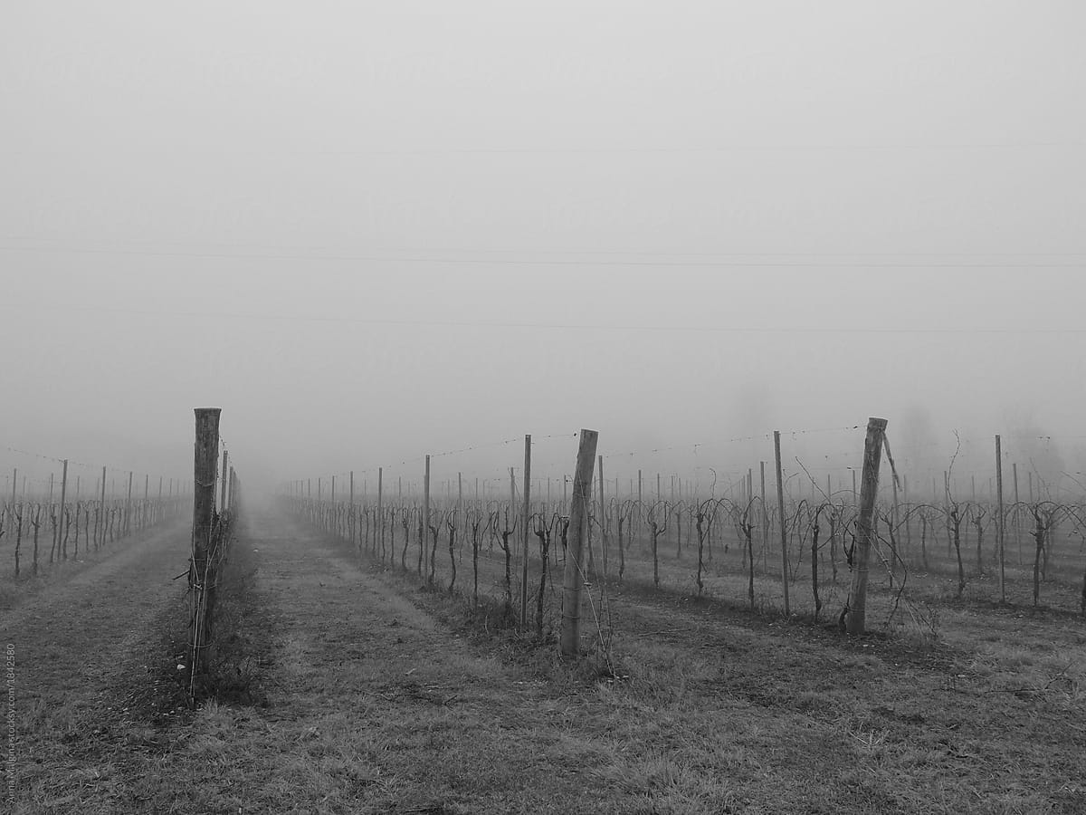 A foggy day in italian village