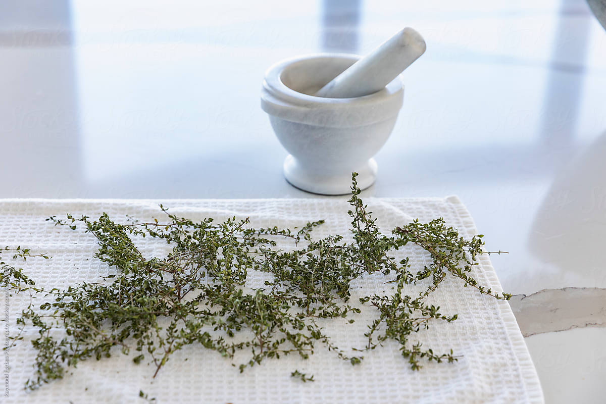 Fresh Thyme with mortar and pestle on Kitchen island