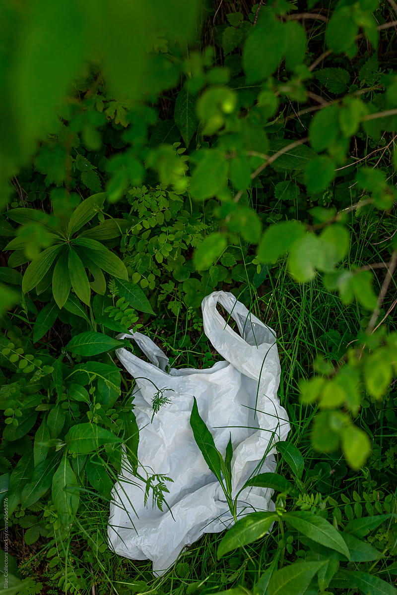 A plastic bag white into nature