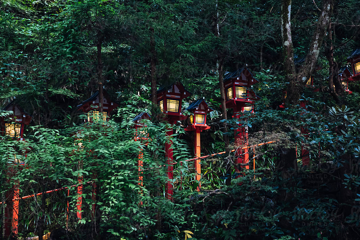 Mystic Lantern Trail at Kifune Shrine