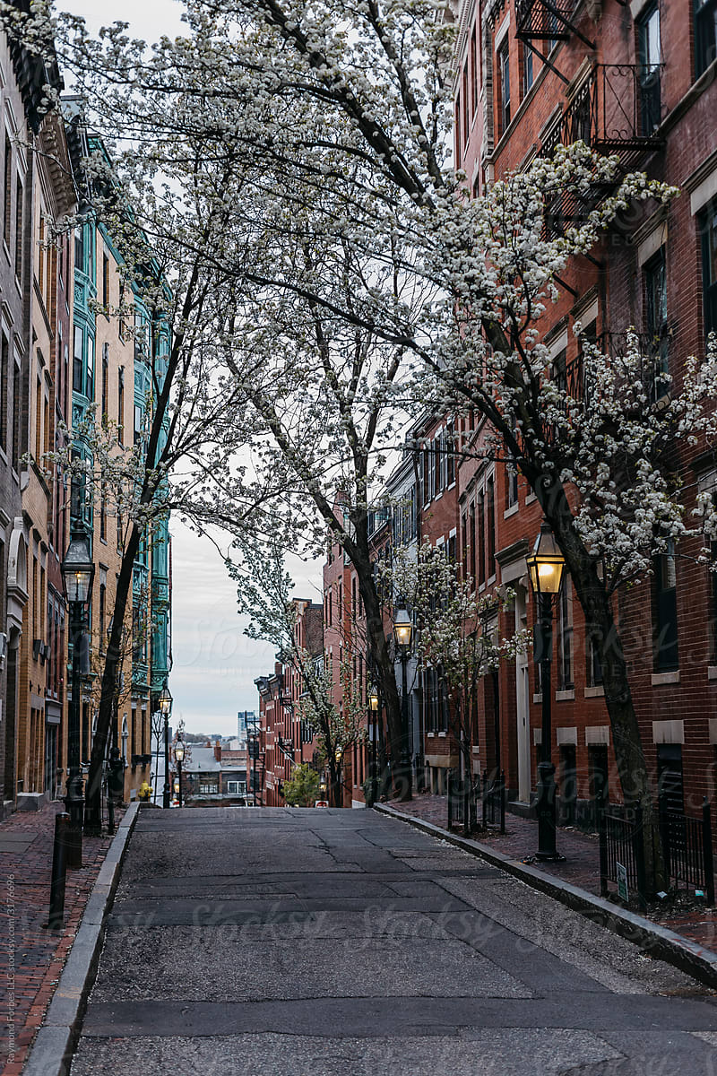 Street In Beacon Hill Neighborhood of Boston