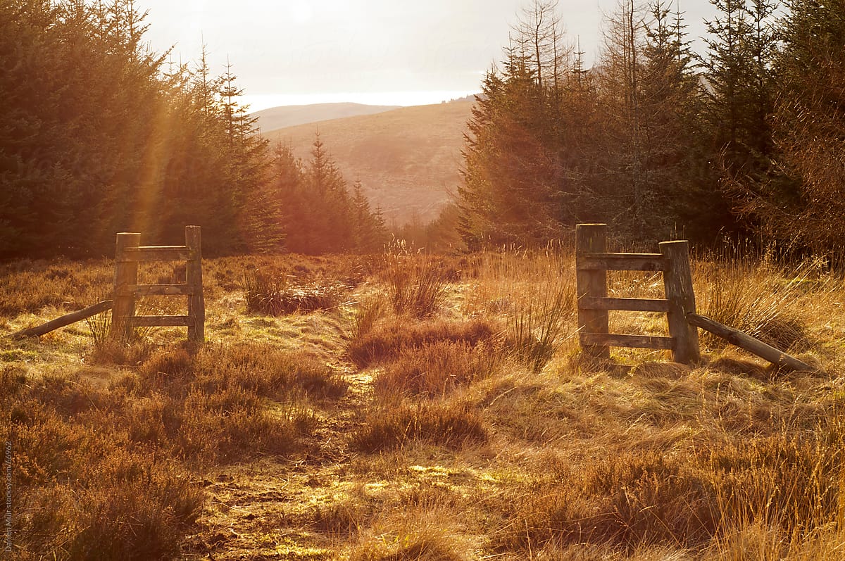 A deer gate in the Scottish highlands.