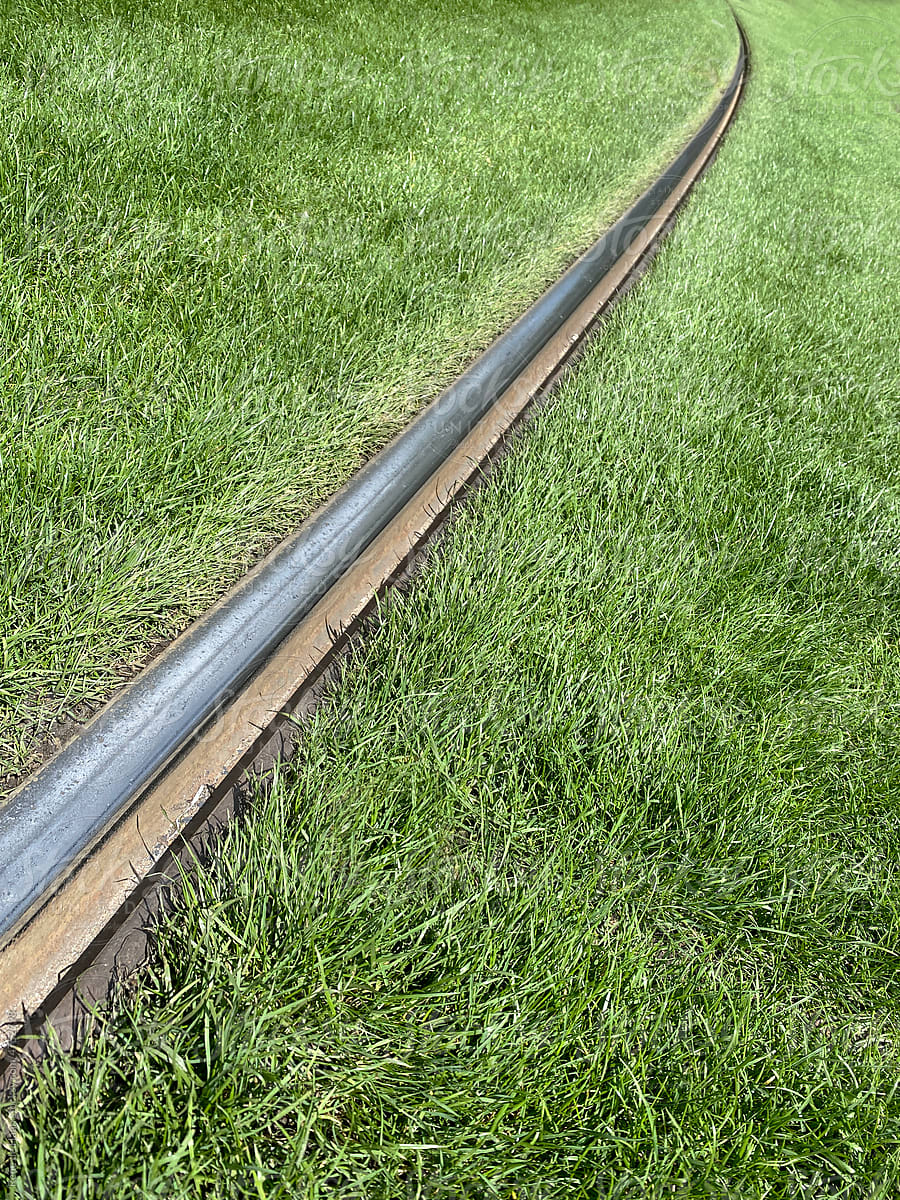 tramrail in grass