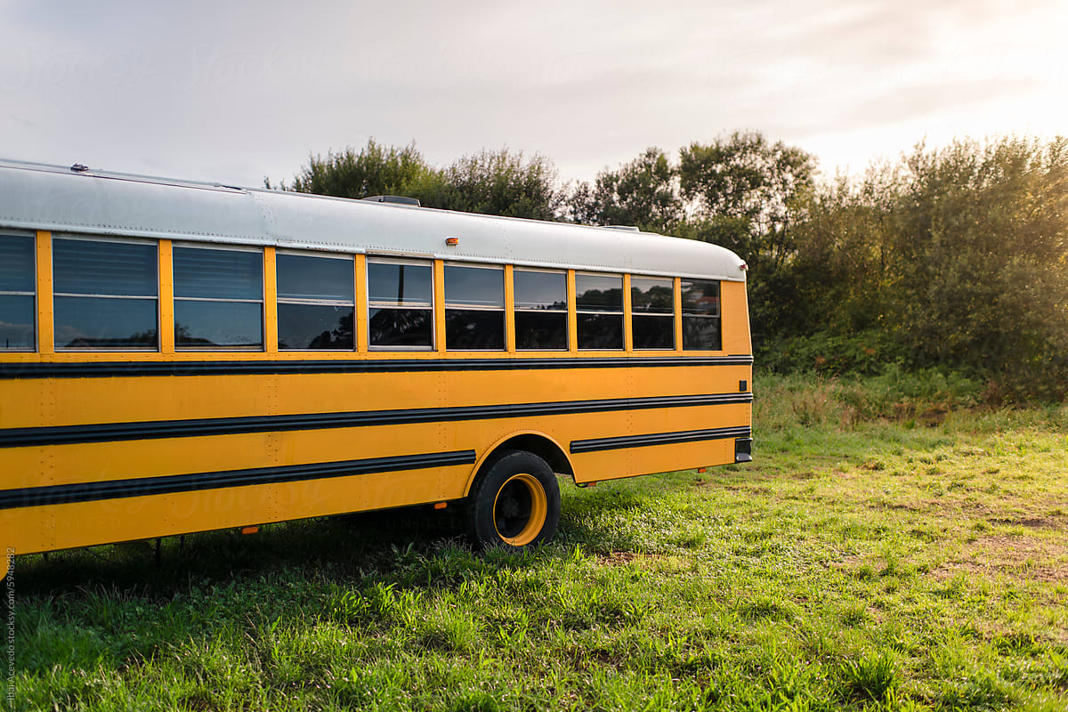 American school bus parked on grass field