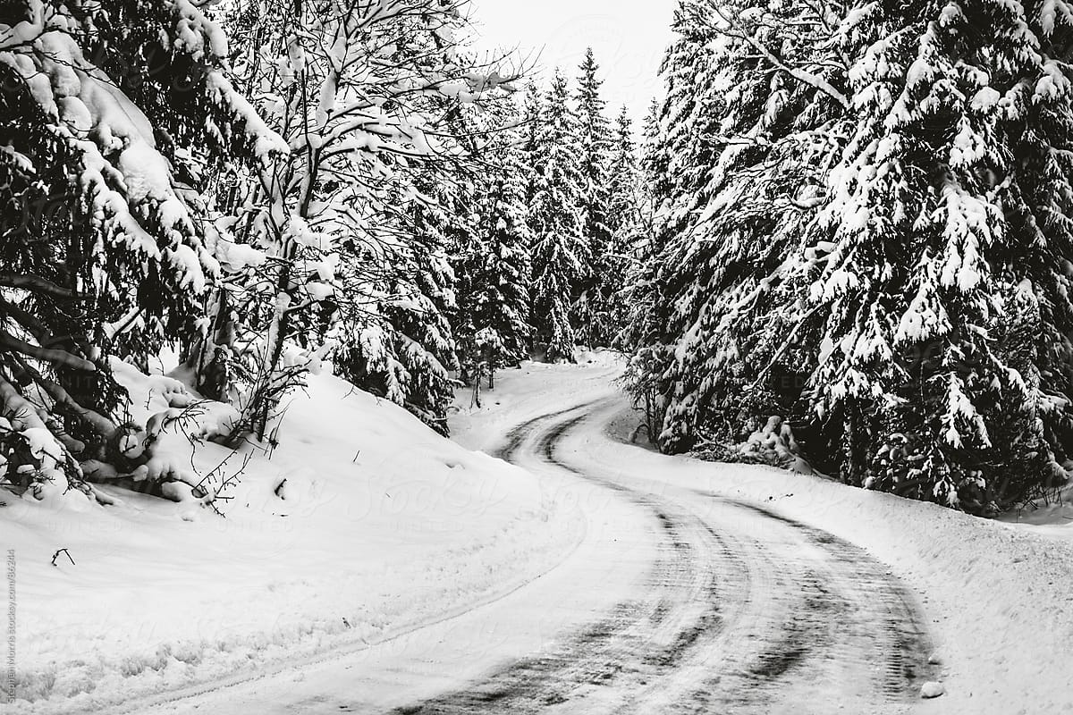 Empty Winter Road