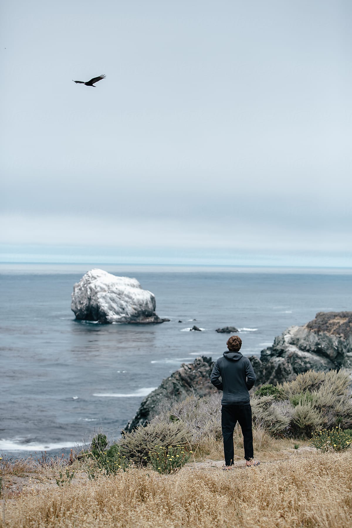 Man stands by the cliffside and watches a hawk fly over the ocean