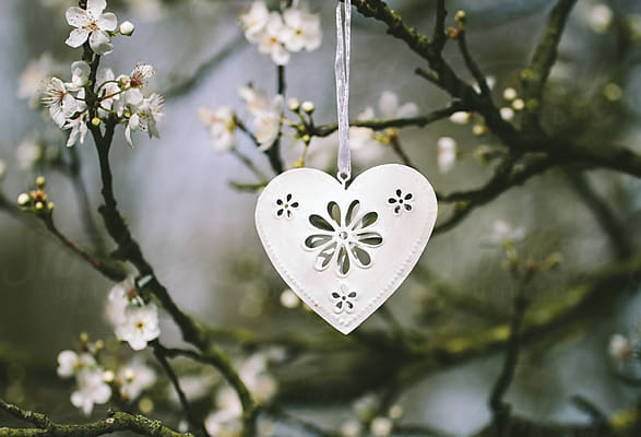 White Metal Heart Decorations Hanging In A Blossom Ree by Stocksy  Contributor Helen Rushbrook - Stocksy