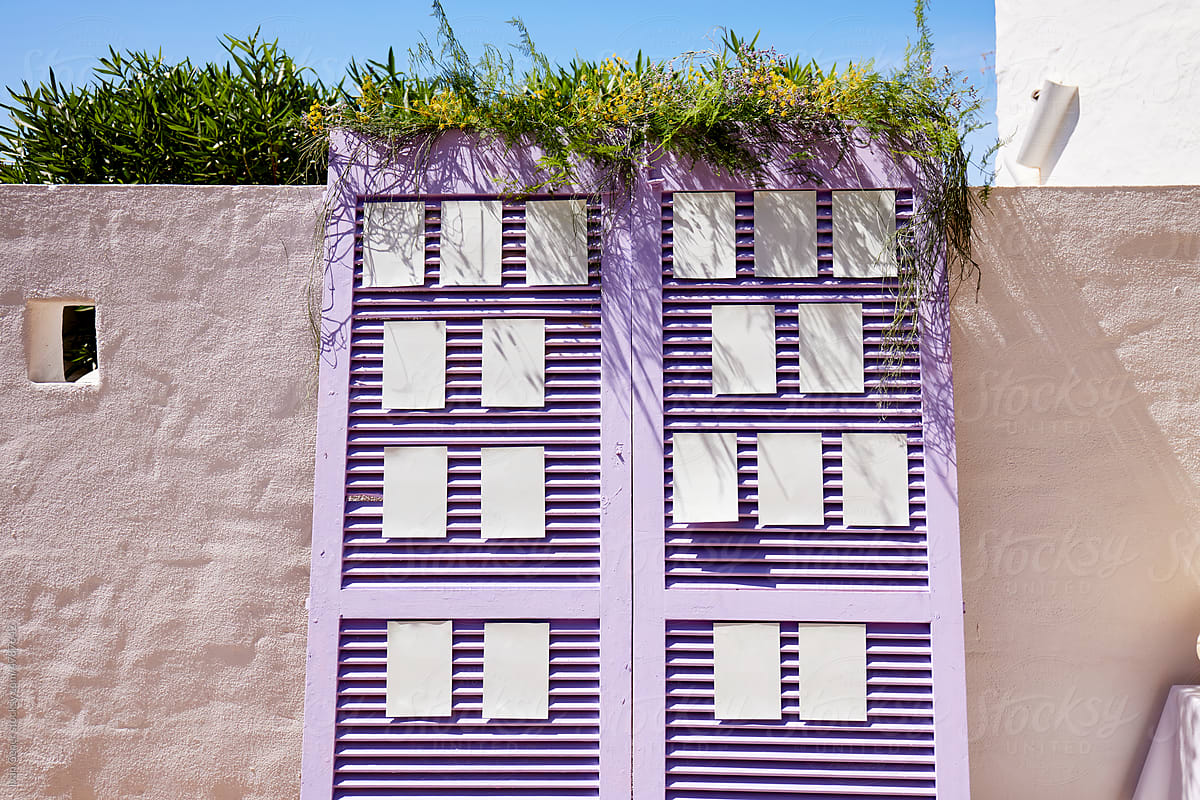 Purple door in a wall outside in summer