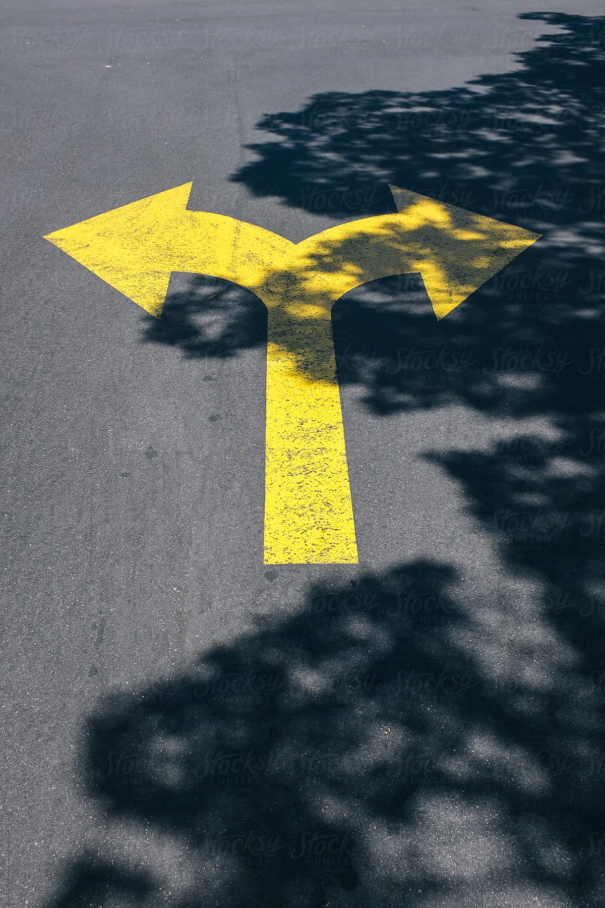 Two arrows painted on road, indicating a choice