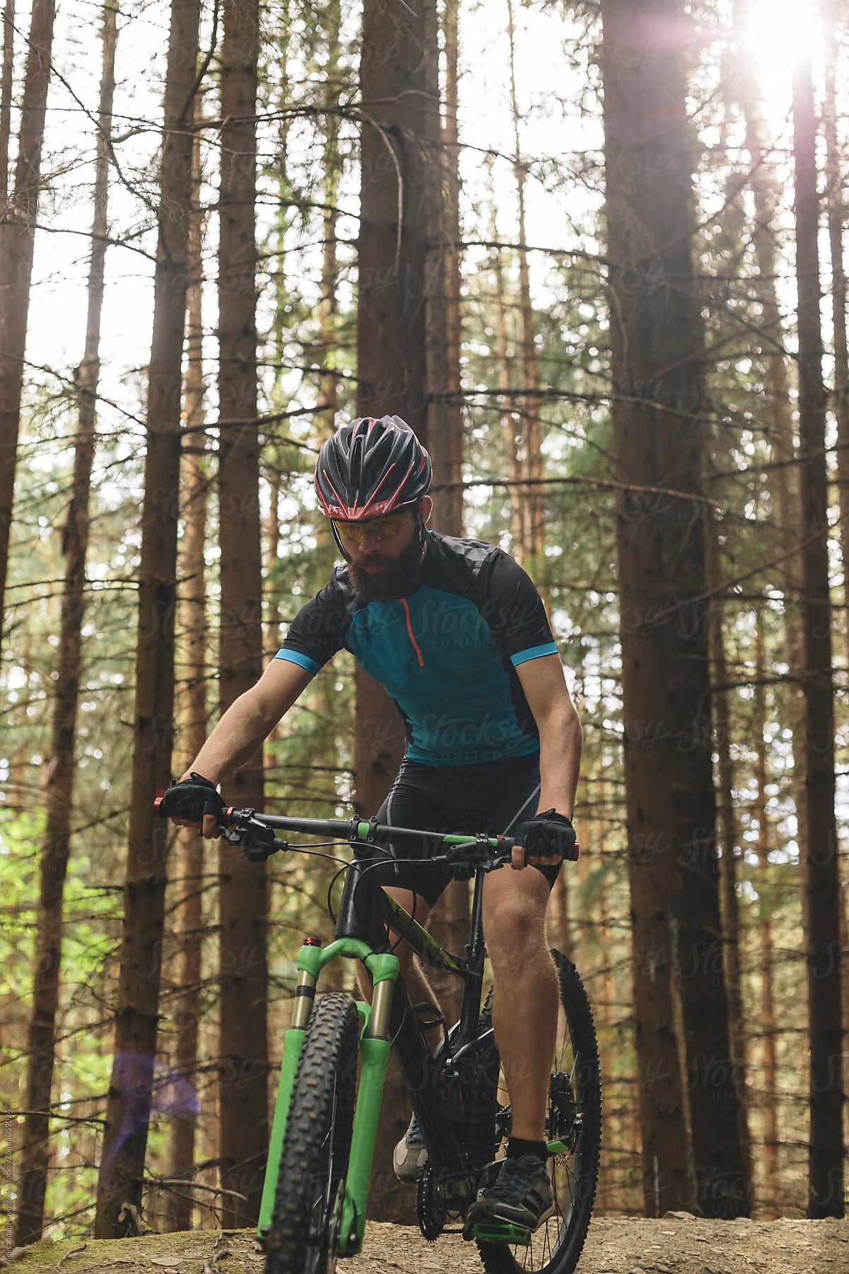 Mountain biker riding in the forest