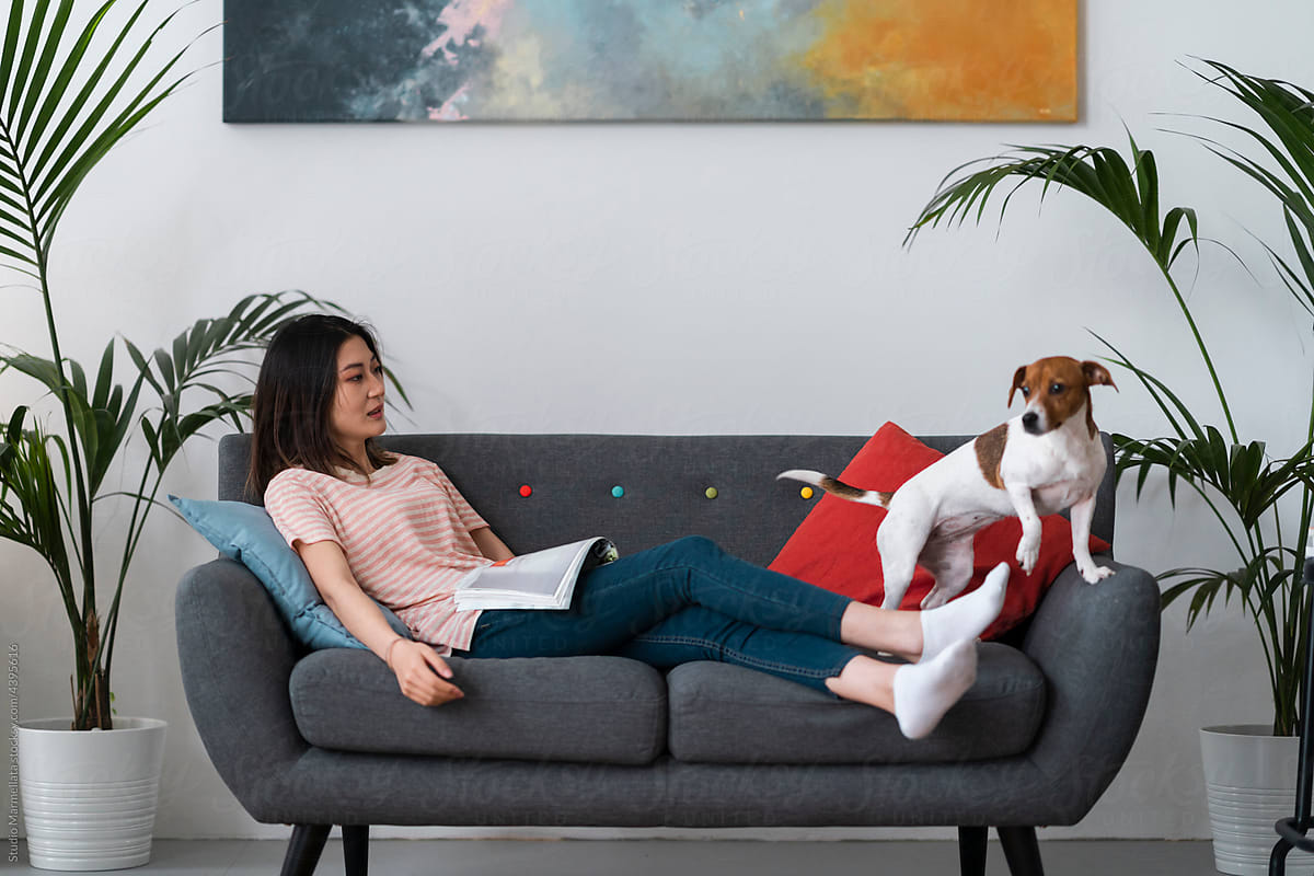 Young Asian female with purebred dog resting on sofa