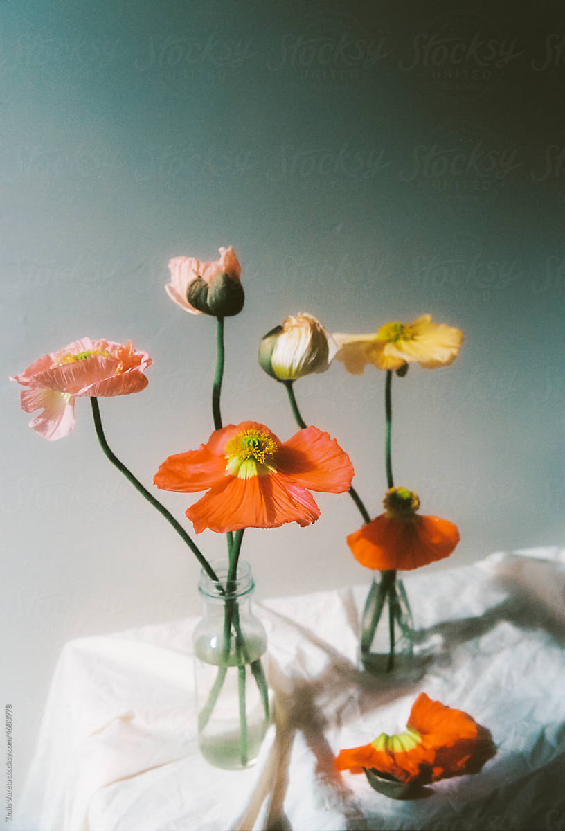 colorful poppies on a table with white cloth