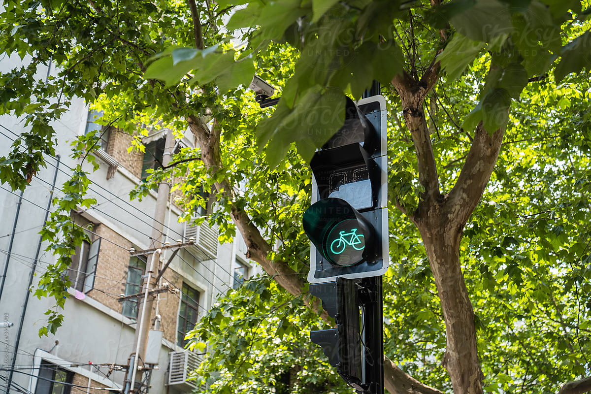 Green Light For Bicycle