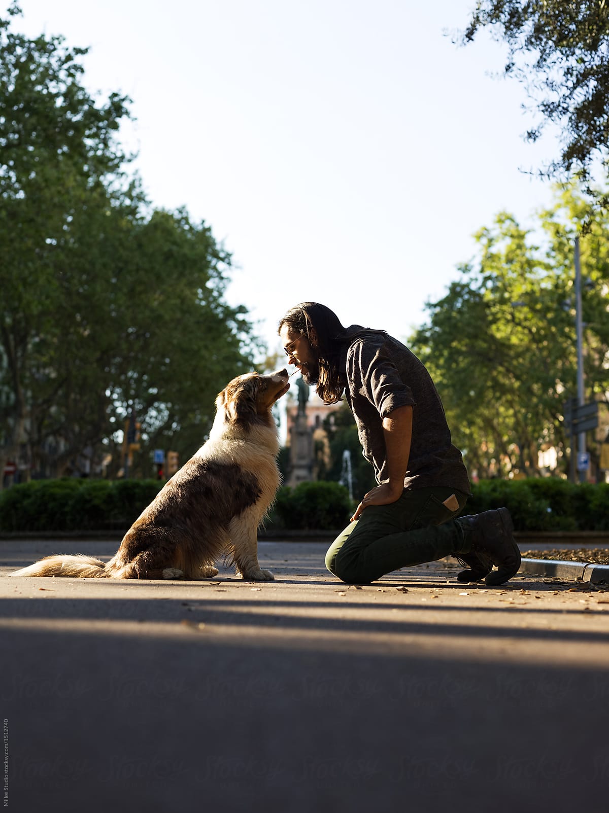 Man training dog in park