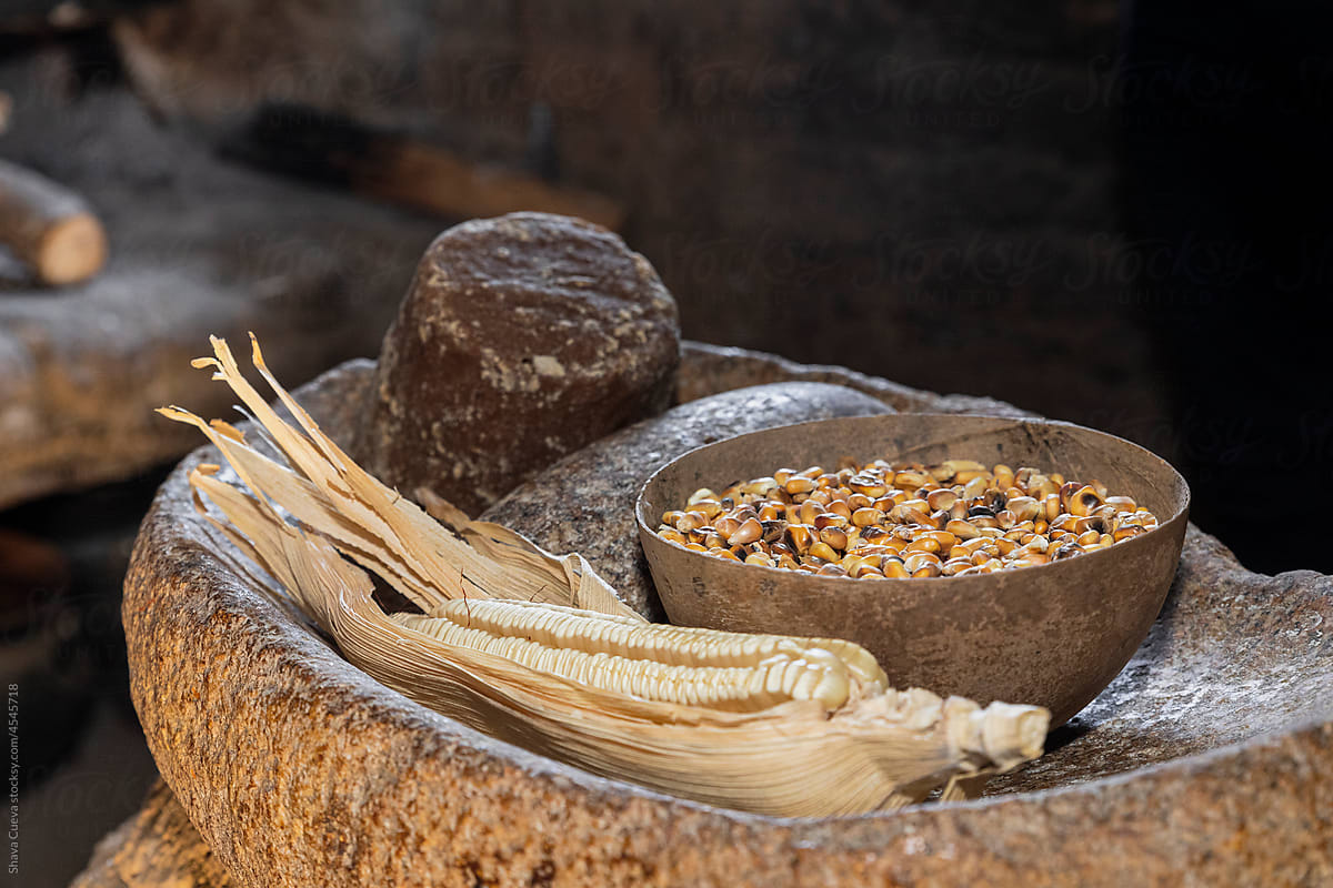 Corn with its leaf and a jícara with grains / kernels of corn inside