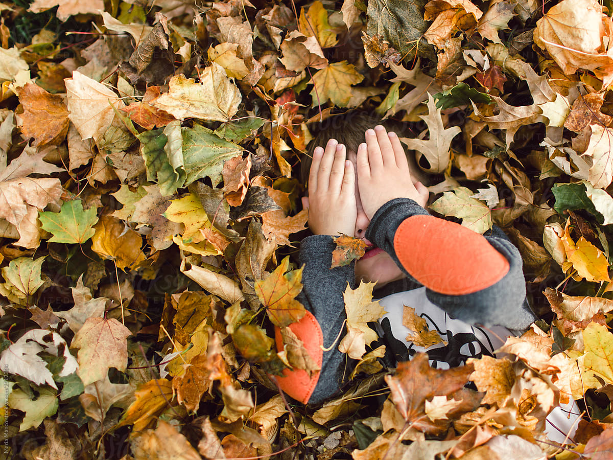 child covers face in leaf pile