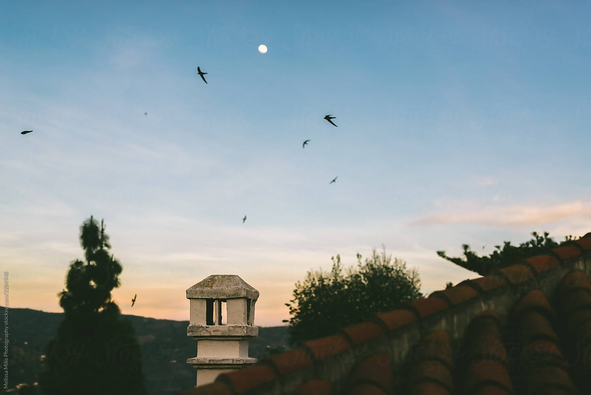 Spanish house by sunset with birds in the sky