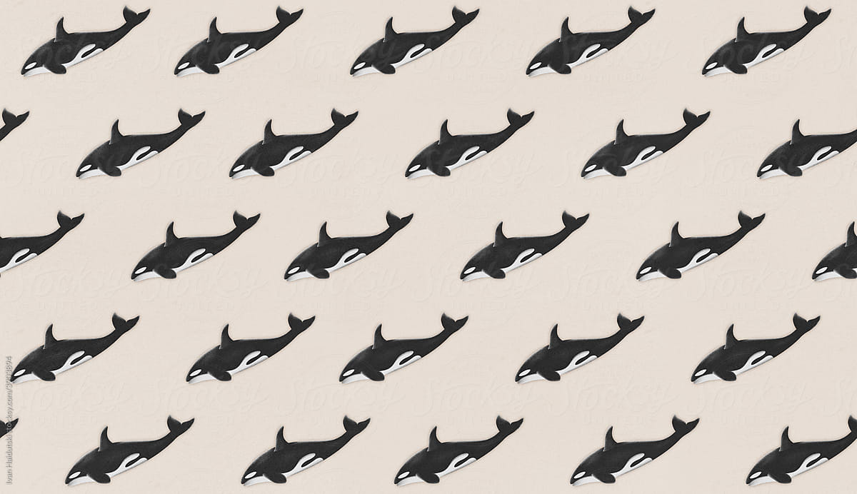 Seamless Pattern of orca or killer whale illustration.