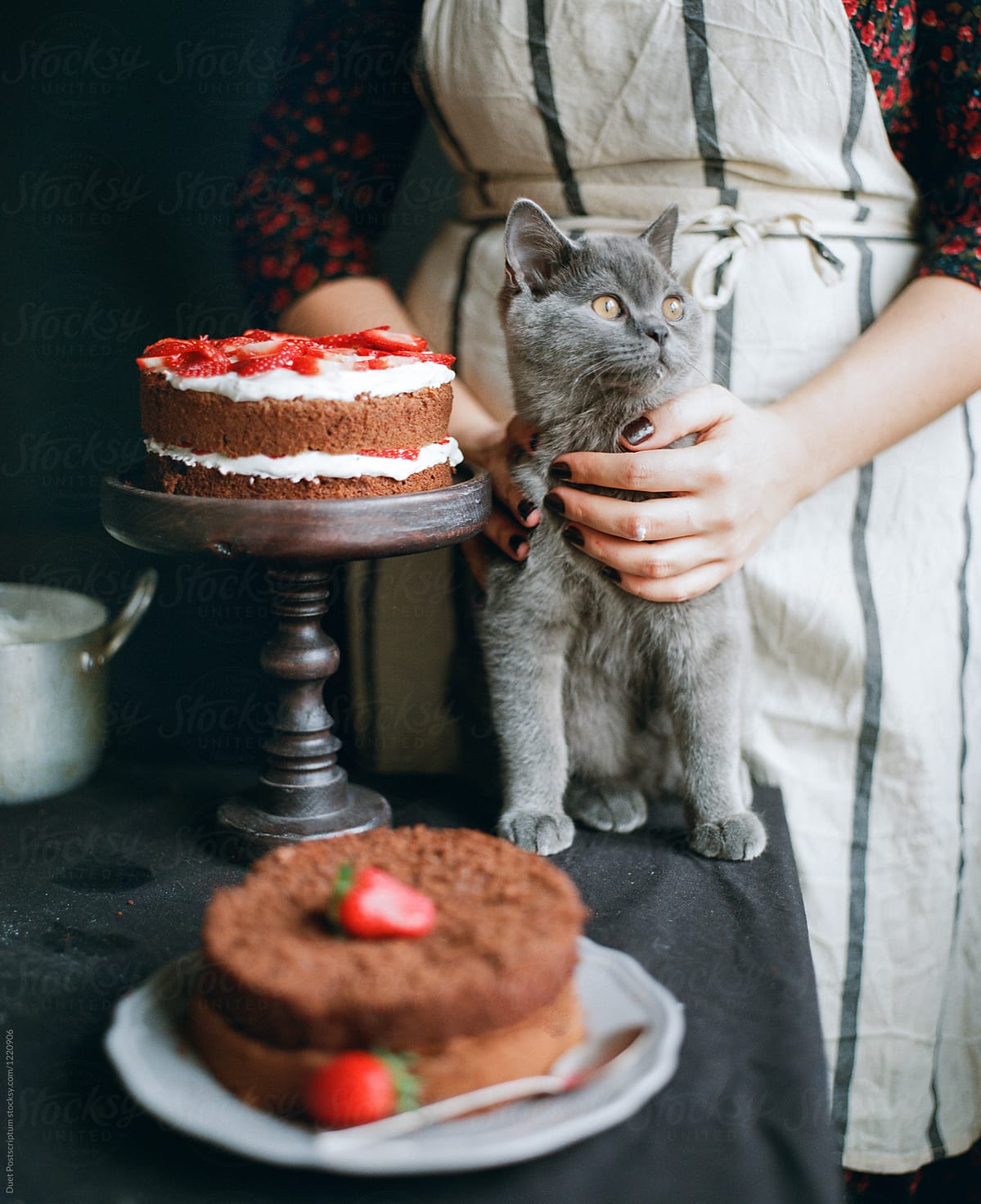 A cat sitting near a cake