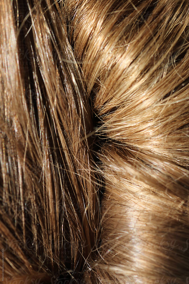 Close up of  a knot of blonde hair