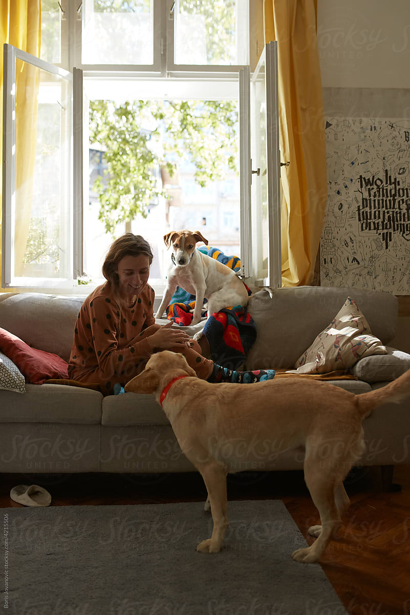 Woman Playing With Dogs At Home