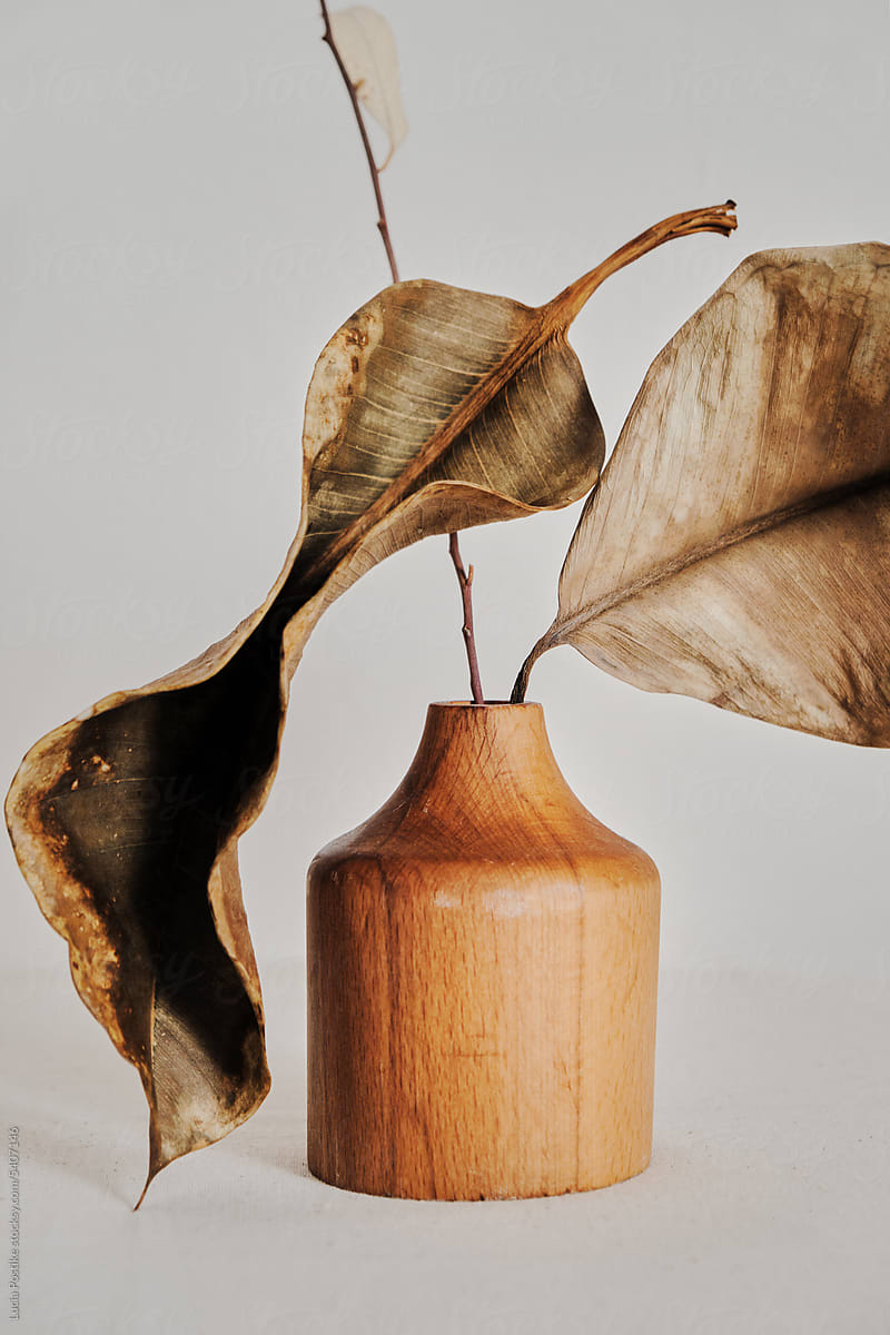 Wooden vase with leaves - interior composition