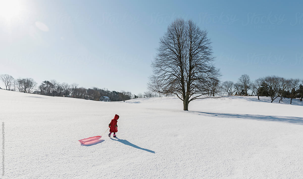 Horizontal Winter Landscape of Child In Red Coat Headed to Sledding Hill