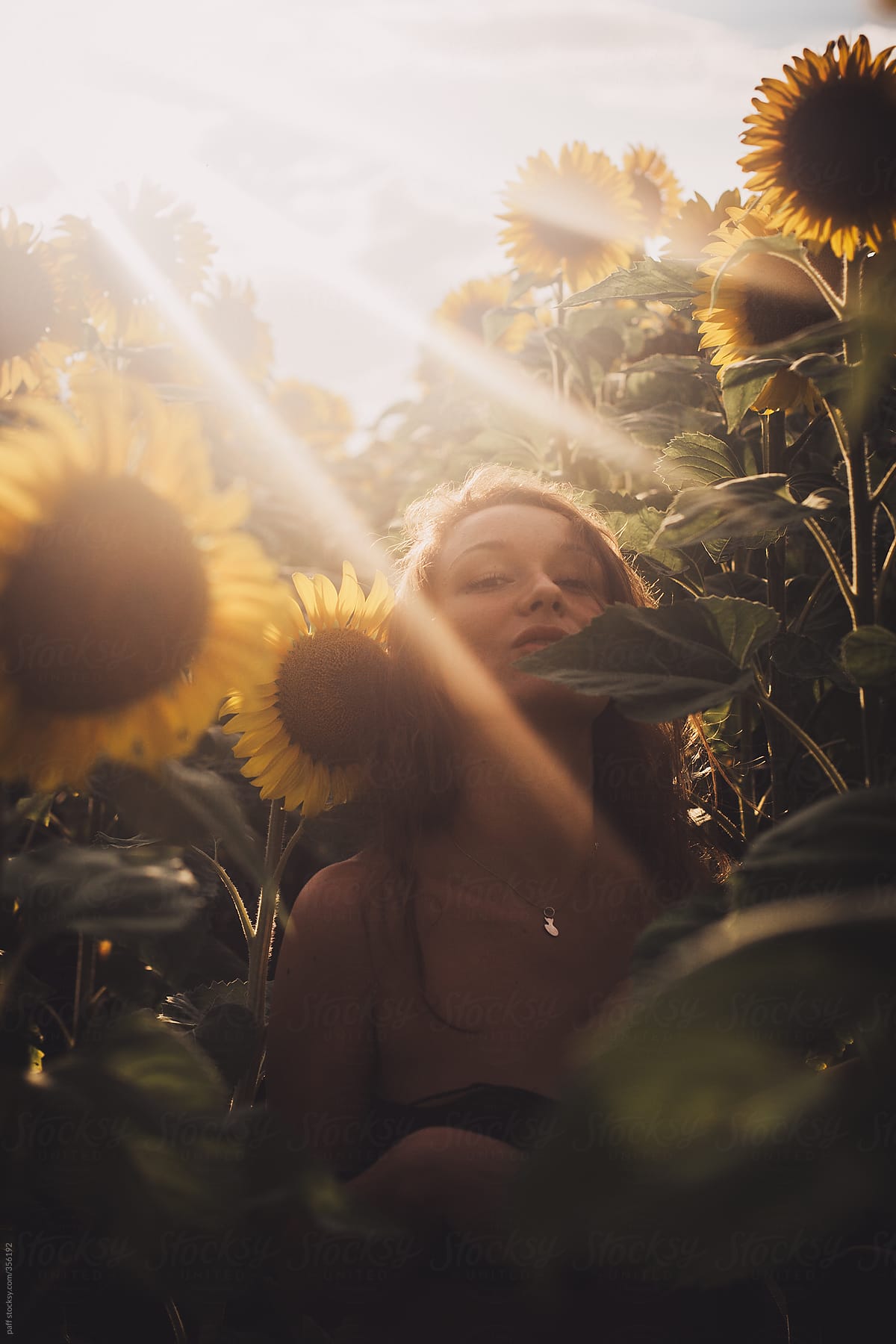 Sensual Portrait Of A Girl In A Sunflower Field Del Colaborador De Stocksy Paff Stocksy