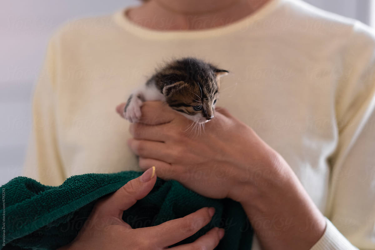 Female holding newborn baby kittens adopted from the street