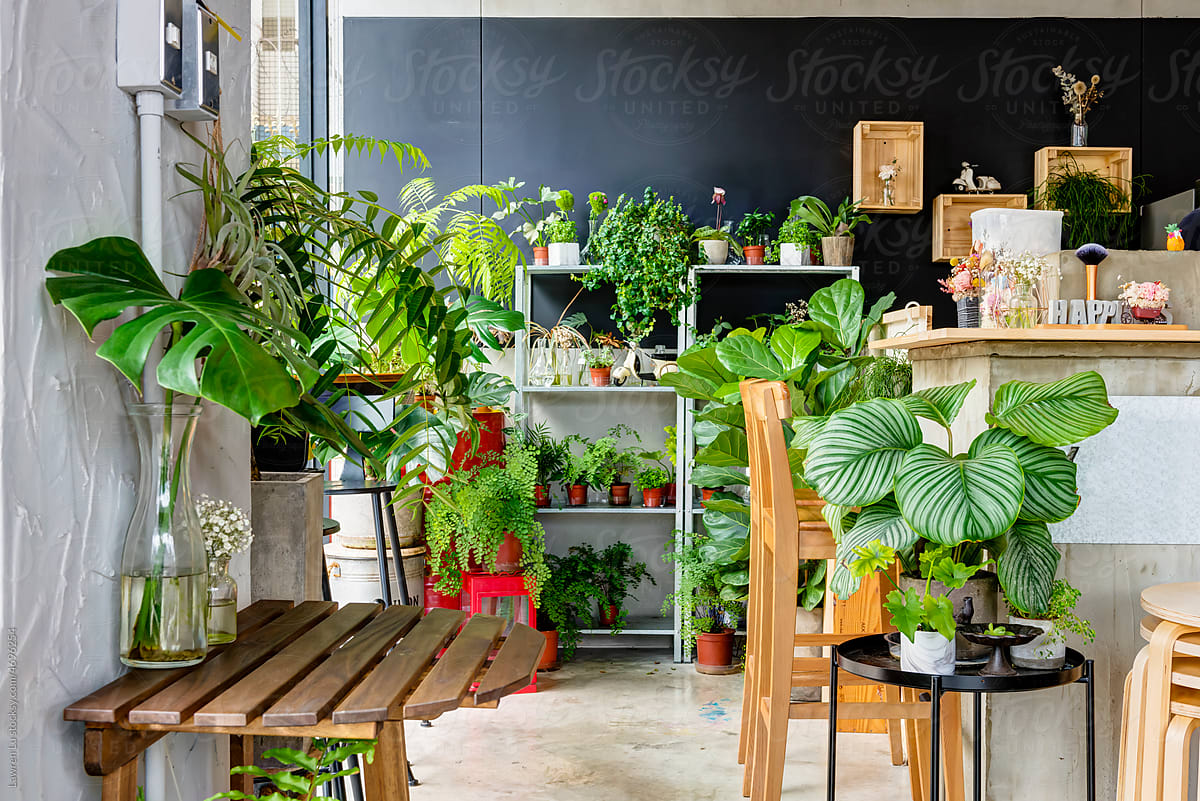 Coffee shop corner with green plants.