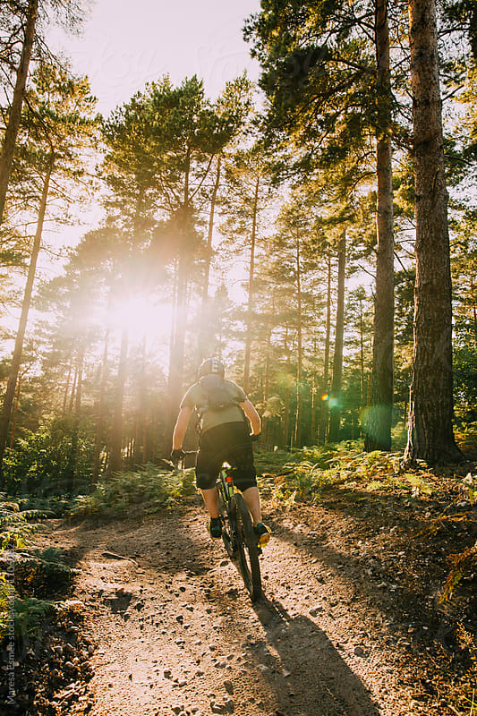 A man cycling towards the sunlight on a forest trail in UK