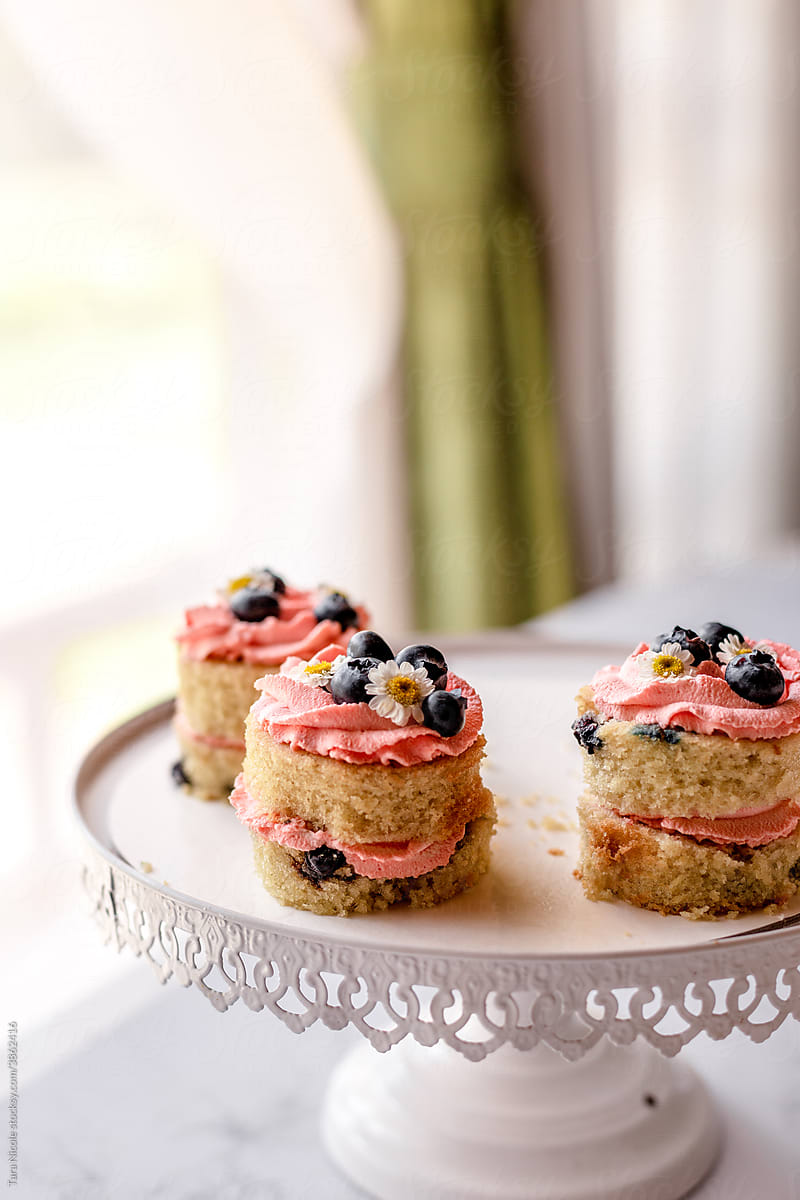Blueberry Vanilla Mini Cakes
