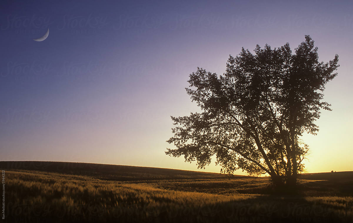 Crescent moon at sunset on prairies of North Dakota