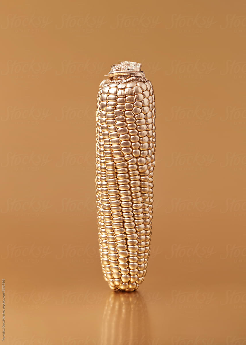 Vertical golden painted corn ear .